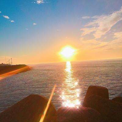 8868体育官方版最新版